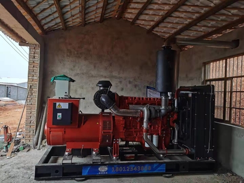 Latest company blogs about 400KW diesel generator set be installed in Poultry farming factory